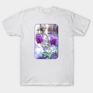 Purple Lanterns T-Shirt